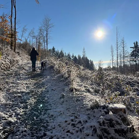 Haus Am See Maison d'hôtes 4*